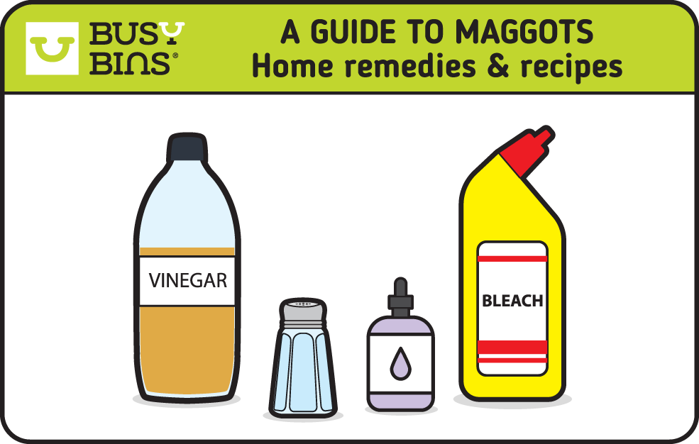 Home remidies and recipes to rid yourself of maggots. Images in a simple graphic design style of vinegar, salt, lavender essence and bleach. Busy Bins.
