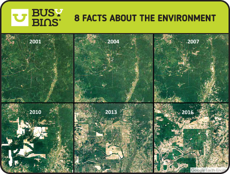 8 Facts about the Environment. Amazon Deforestation. 6 satellite images showing deteriorating forest cover and deforestation over time. The 6 images are each from 2001, 2204, 2207, 2010,2013 and 2016.